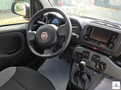 Fiat Panda 1.0 FireFly S&S Hybrid City Cross (10)