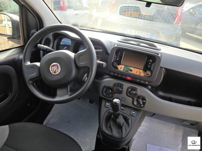 Fiat Panda 1.0 FireFly S&S Hybrid City Cross (11)