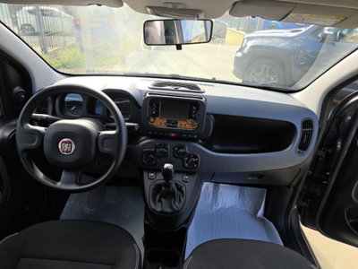 Fiat Panda 1.0 FireFly S&S Hybrid City Cross (11)