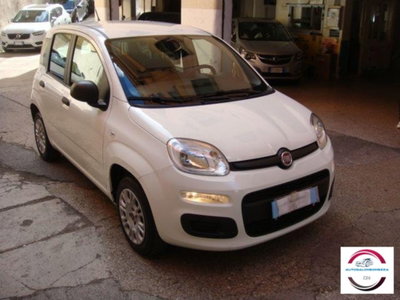 Fiat Panda 1.2 EasyPower Easy usata