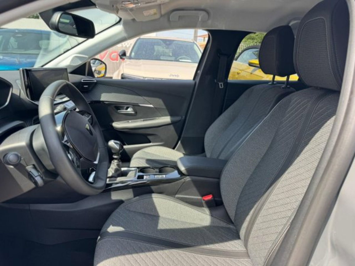 Peugeot 208 PureTech 100 Stop&Start 5 porte Allure (15)