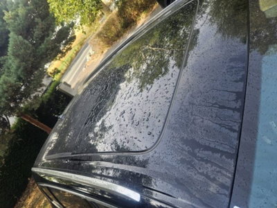 Audi Q7 3.0 TDI 272 CV quattro tiptronic Business Plus (17)