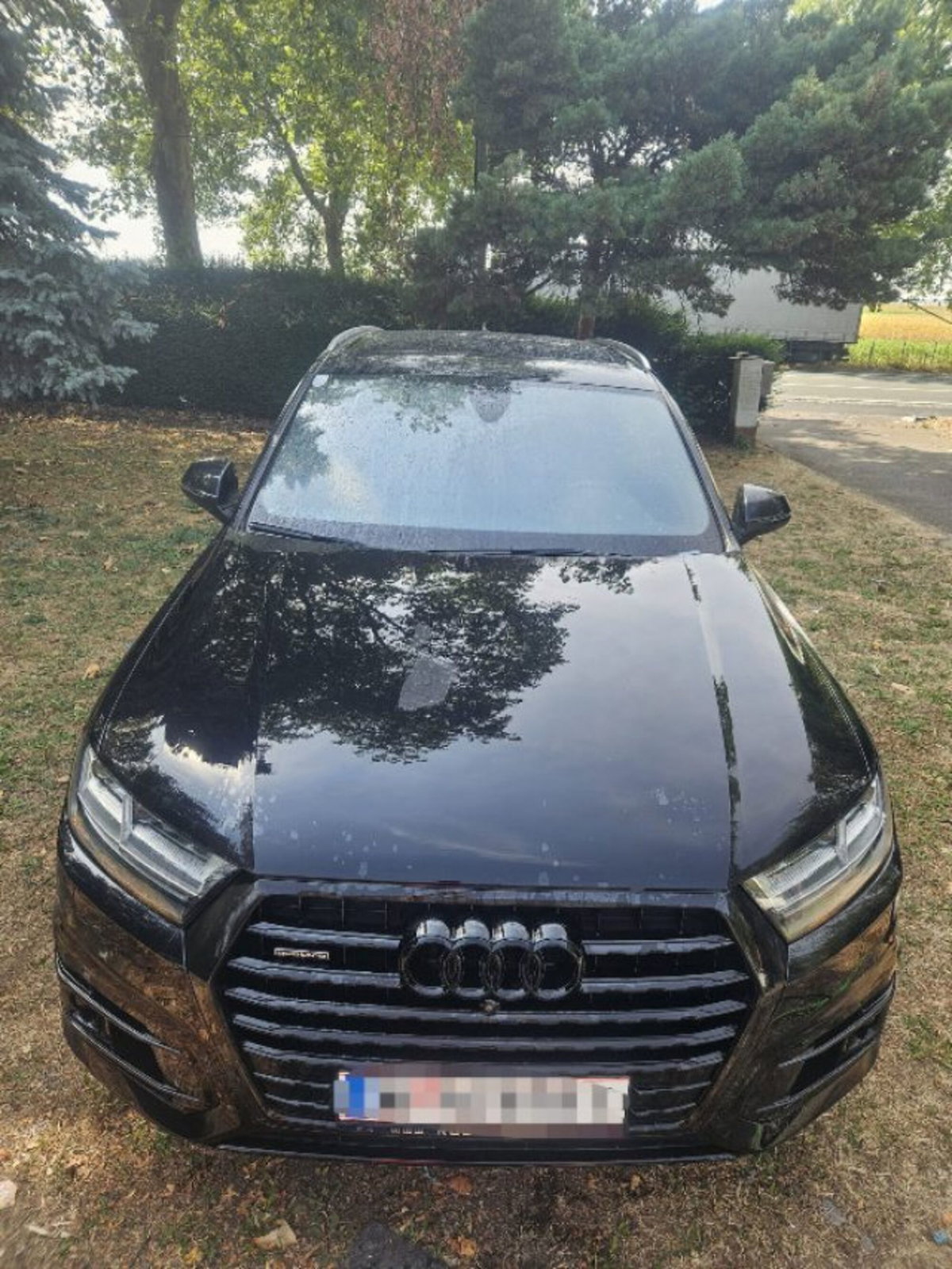Audi Q7 3.0 TDI 272 CV quattro tiptronic Business Plus (2)