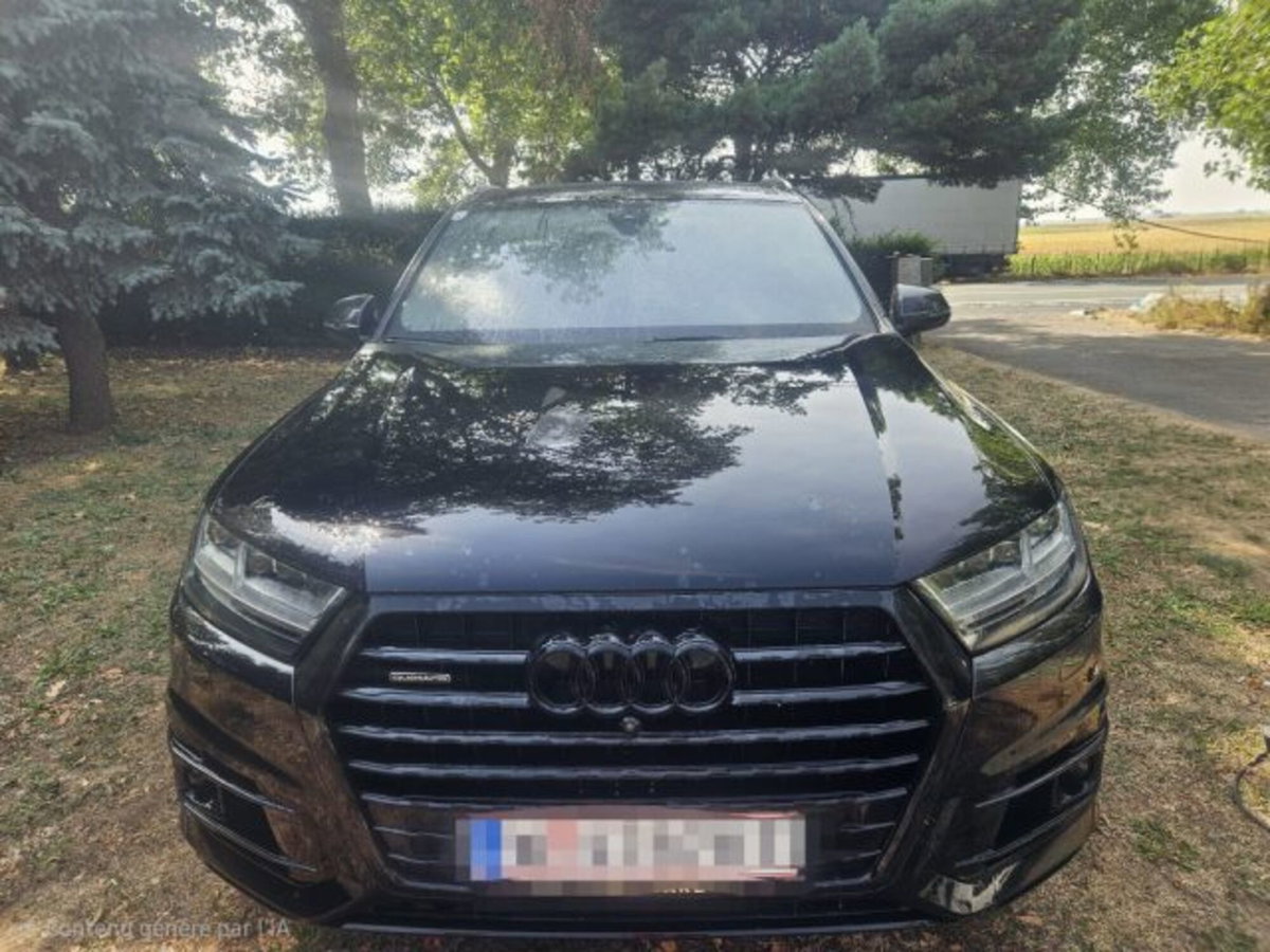 Audi Q7 3.0 TDI 272 CV quattro tiptronic Business Plus (7)