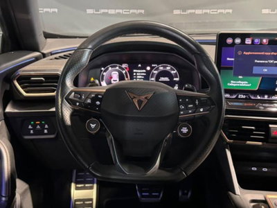 Cupra Formentor Formentor 2.0 TDI (11)