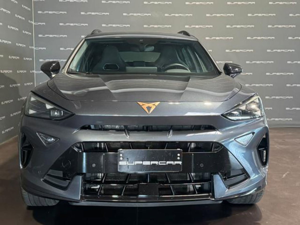 Cupra Formentor Formentor 2.0 TDI (2)