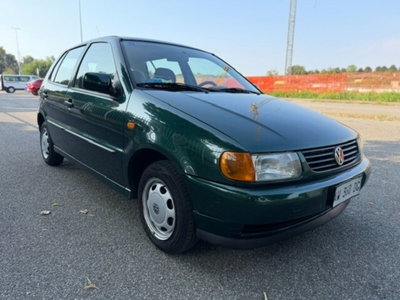 Volkswagen Polo 1.4 cat 5 porte Comfort (3)