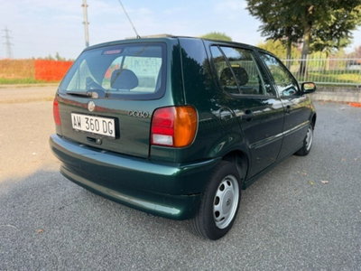 Volkswagen Polo 1.4 cat 5 porte Comfort (4)