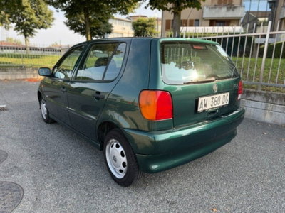 Volkswagen Polo 1.4 cat 5 porte Comfort (6)