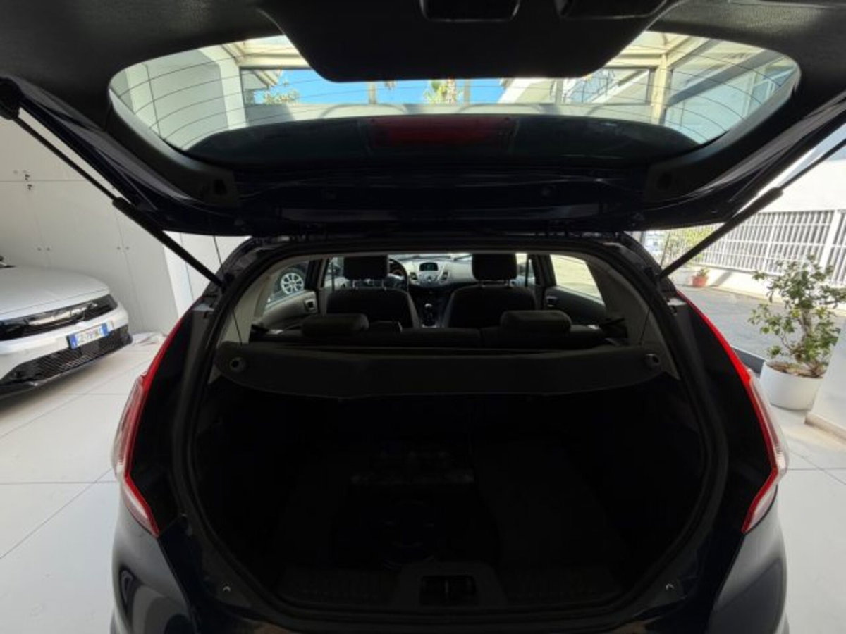 Ford Fiesta 1.4 5 porte Bz.- GPL Titanium (14)