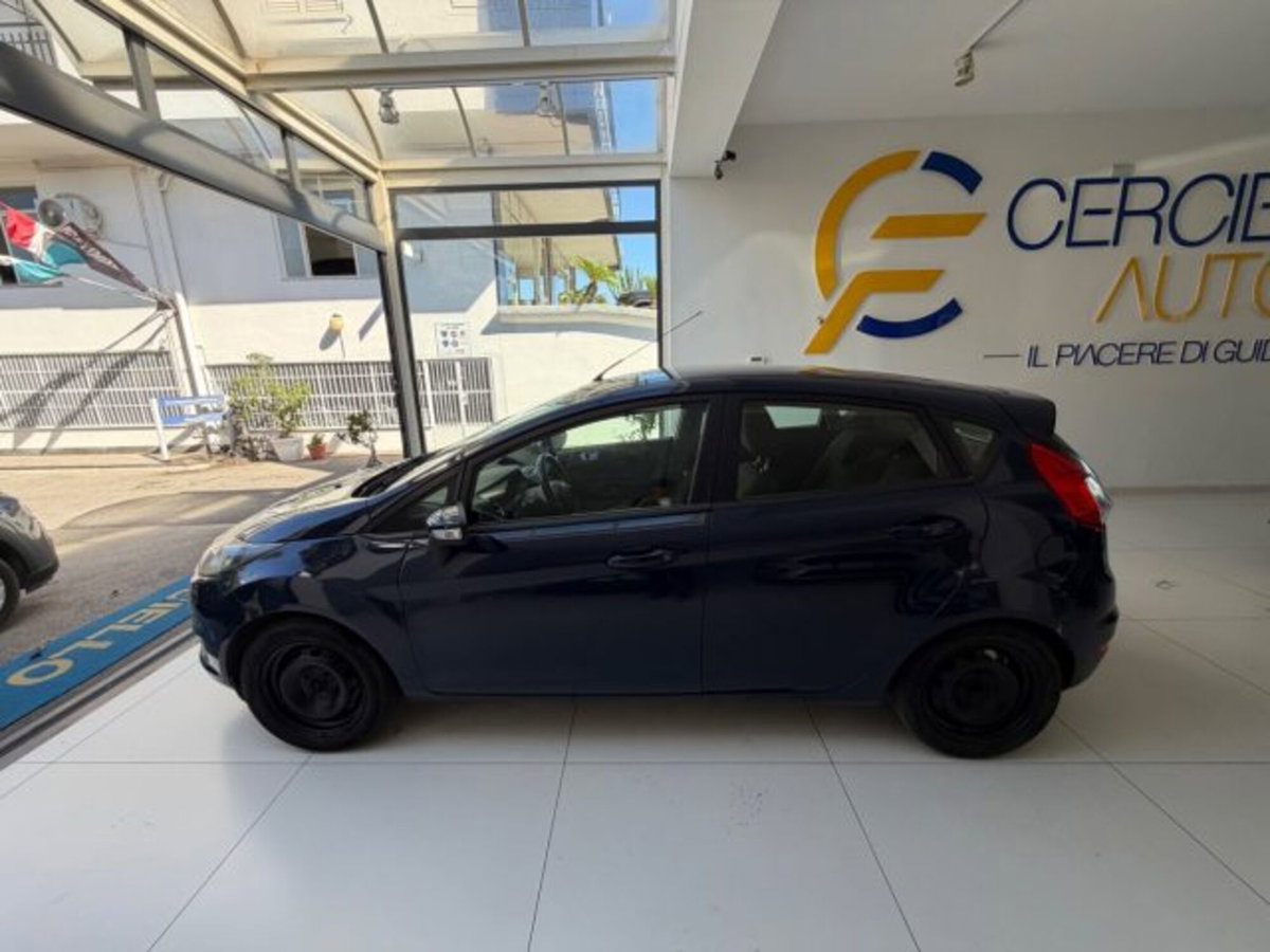 Ford Fiesta 1.4 5 porte Bz.- GPL Titanium (5)