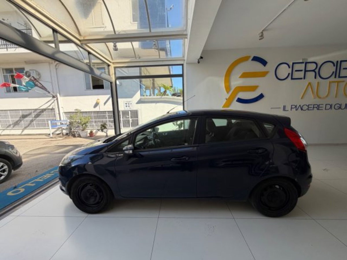 Ford Fiesta 1.4 5 porte Bz.- GPL Titanium (8)