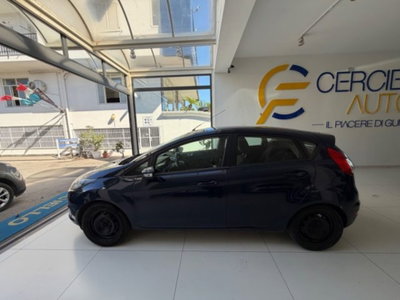 Ford Fiesta 1.4 5 porte Bz.- GPL Titanium (8)
