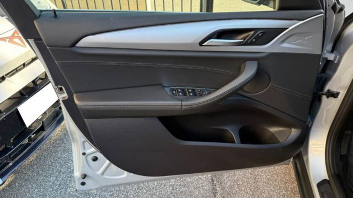 BMW X4 xDrive20d Business Advantage (19)