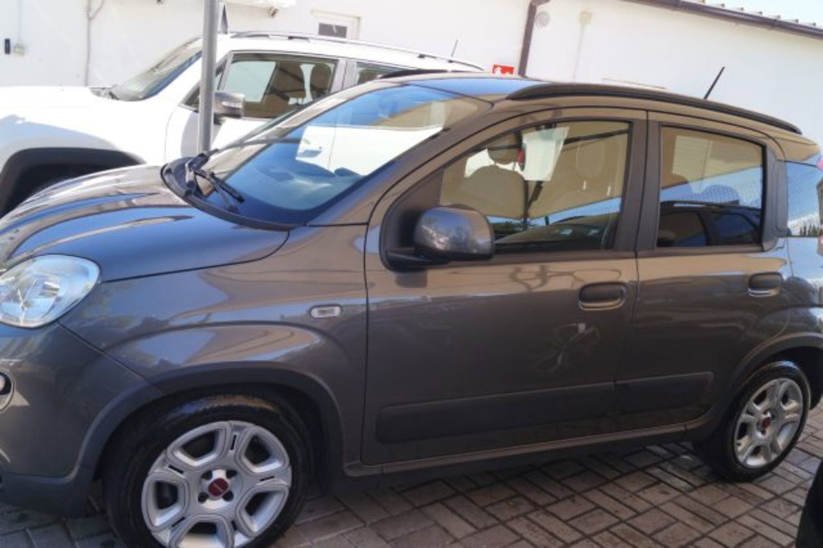 Fiat Panda 1.0 firefly hybrid s&s 70cv 5p.ti (2)