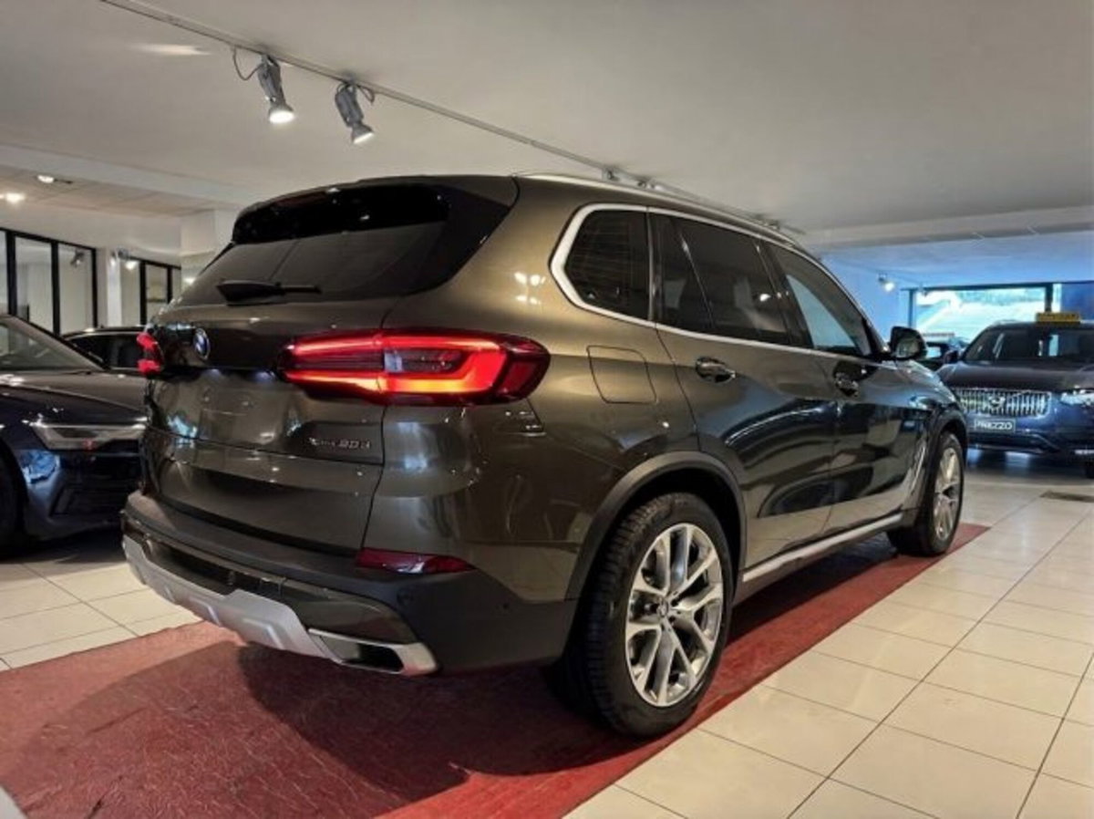 BMW X5 xDrive30d 48V xLine (6)