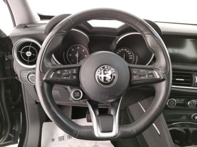 Alfa Romeo Stelvio Stelvio 2.2 Turbodiesel 190 CV AT8 Q4 Super Business (9)