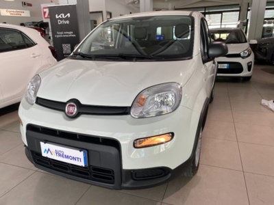 Fiat Panda 1.0 firefly hybrid s&s 70cv usata