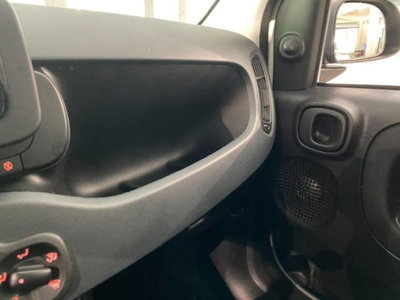 Fiat Panda 1.0 firefly hybrid s&s 70cv (12)