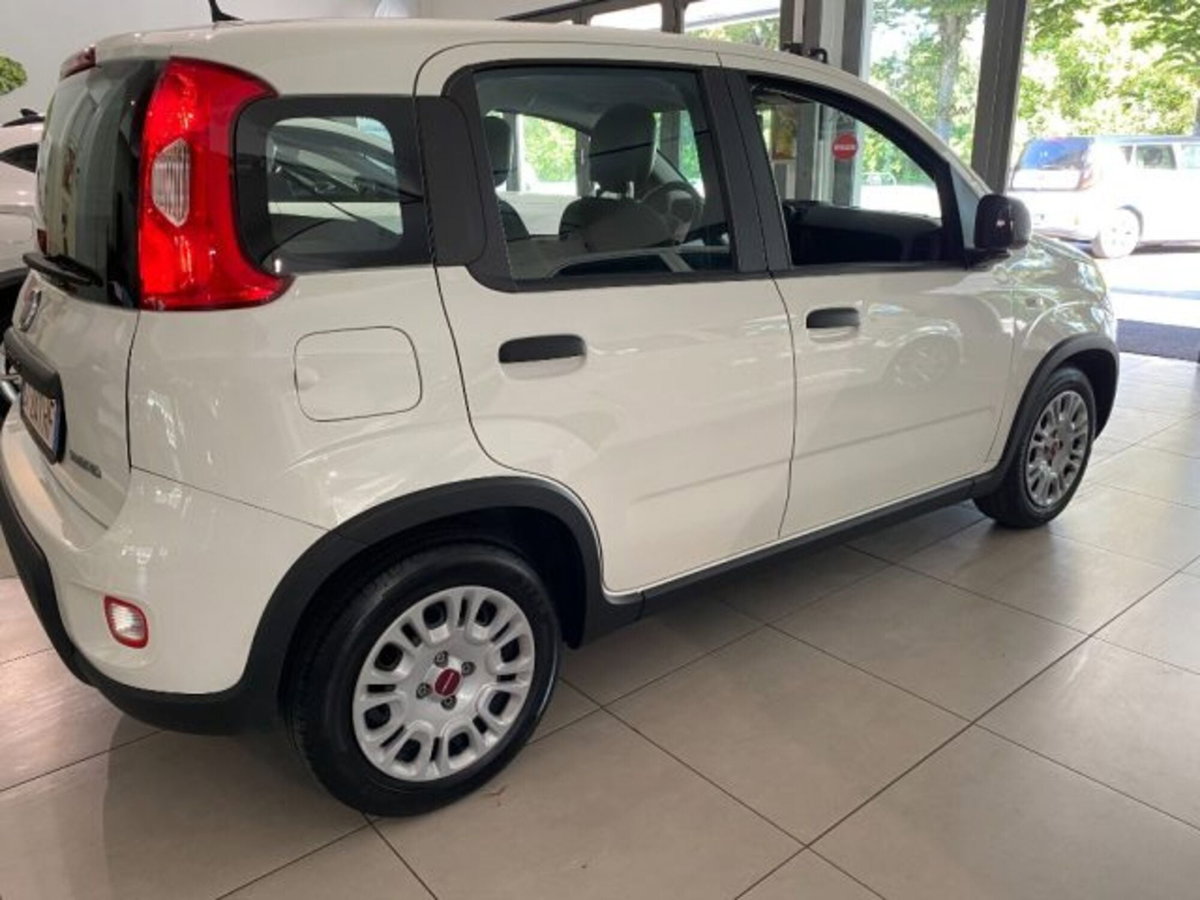 Fiat Panda 1.0 firefly hybrid s&s 70cv (3)