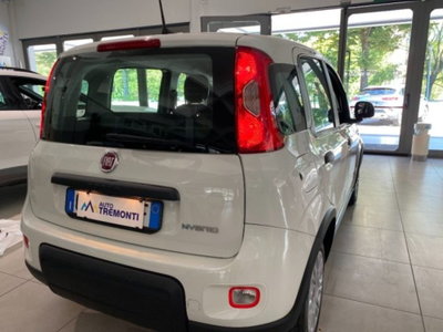 Fiat Panda 1.0 firefly hybrid s&s 70cv (5)