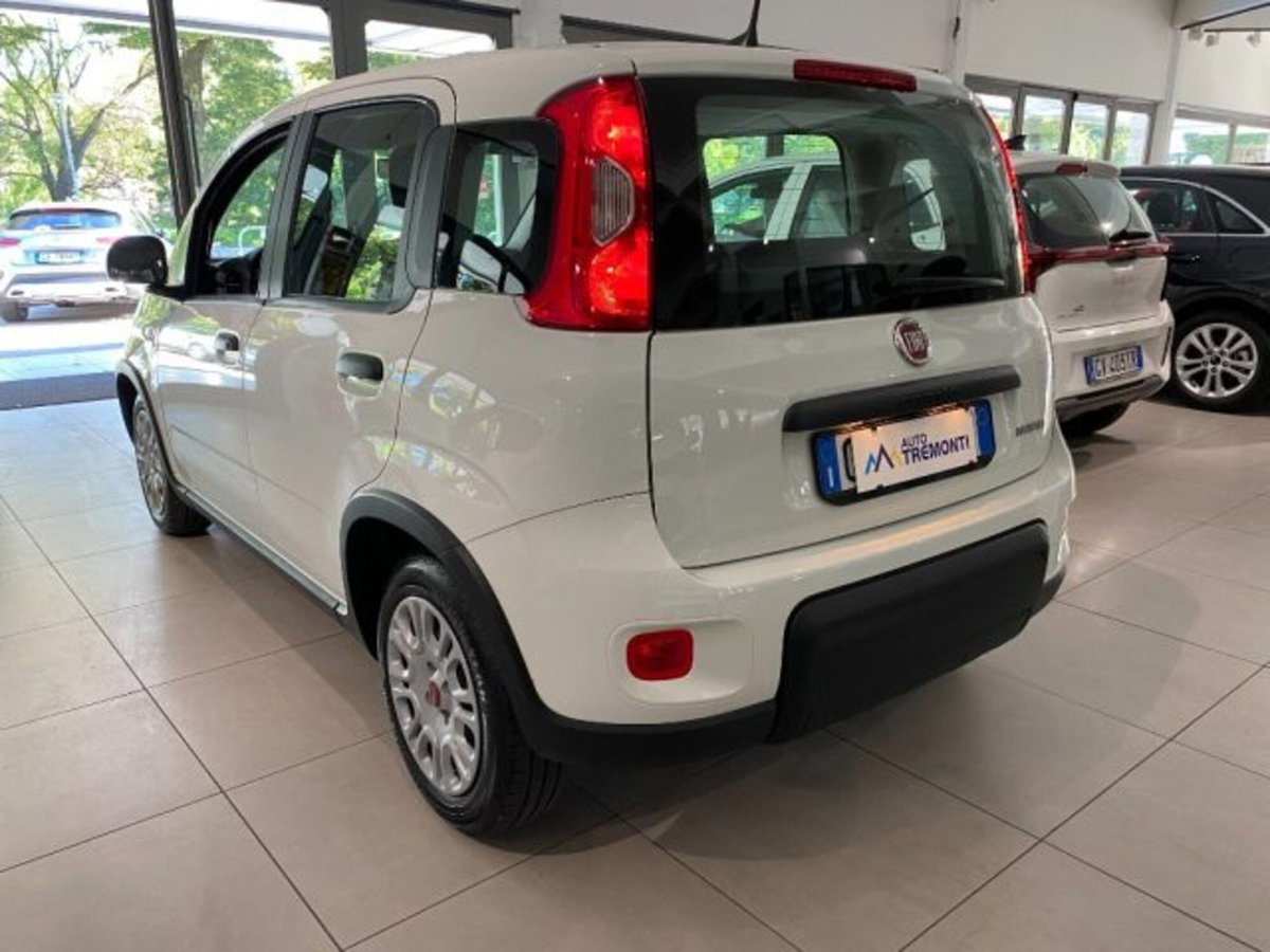 Fiat Panda 1.0 firefly hybrid s&s 70cv (6)