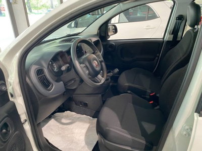 Fiat Panda 1.0 firefly hybrid s&s 70cv (7)
