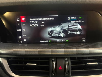Alfa Romeo Stelvio Stelvio 2.2 Turbodiesel 210 CV AT8 Q4 Veloce (15)