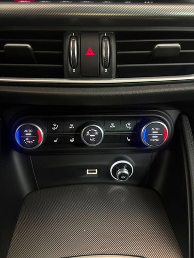 Alfa Romeo Stelvio Stelvio 2.2 Turbodiesel 210 CV AT8 Q4 Veloce (19)