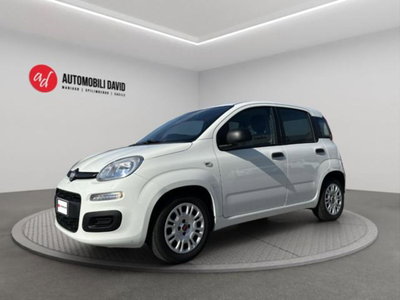 Fiat Panda 1.0 firefly hybrid s&s 70cv 5p.ti usata