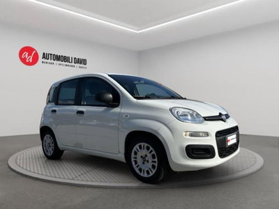 Fiat Panda 1.0 firefly hybrid s&s 70cv 5p.ti (2)