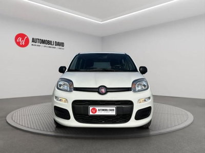 Fiat Panda 1.0 firefly hybrid s&s 70cv 5p.ti (5)