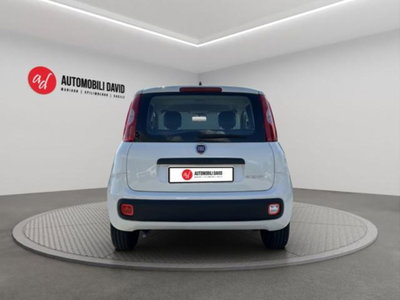 Fiat Panda 1.0 firefly hybrid s&s 70cv 5p.ti (6)