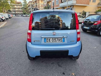 Fiat Panda 1.2 Climbing Natural Power (6)