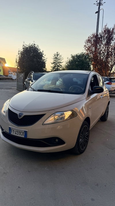 Lancia Ypsilon 1.2 69 CV 5 porte Platinum usata