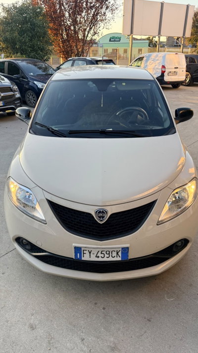 Lancia Ypsilon 1.2 69 CV 5 porte Platinum (2)