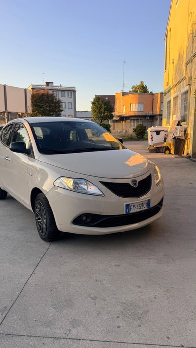 Lancia Ypsilon 1.2 69 CV 5 porte Platinum (3)