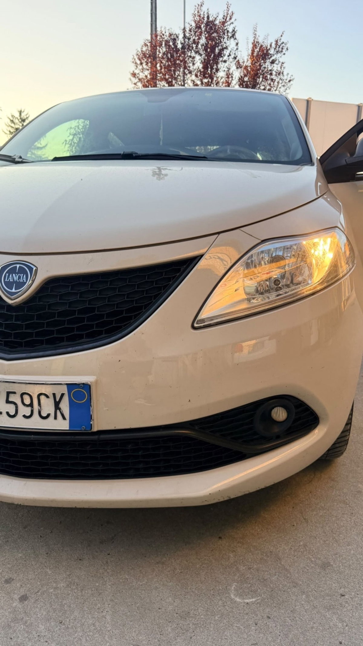 Lancia Ypsilon 1.2 69 CV 5 porte Platinum (6)