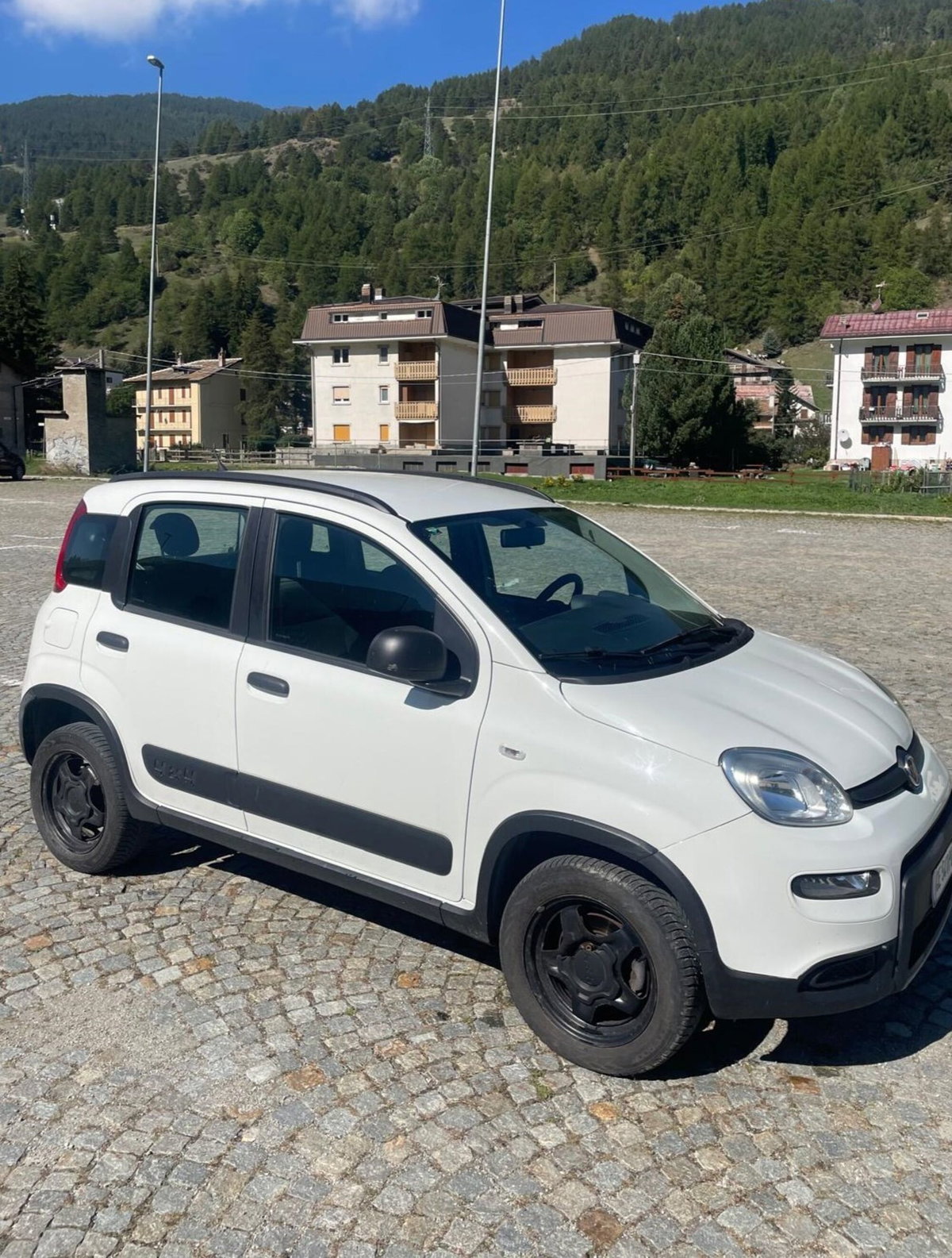 Fiat Panda 0.9 TwinAir Turbo S&S 4x4 Wild (2)