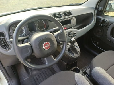 Fiat Panda van 1.0 hybrid Pop 70cv 2p.ti serie 4 E6d (12)