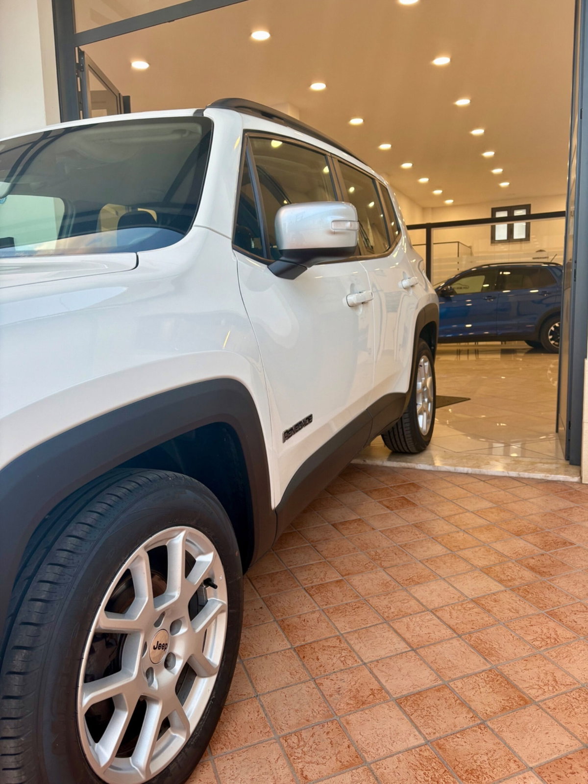 Jeep Renegade 1.6 Mjt 130 CV Limited (5)