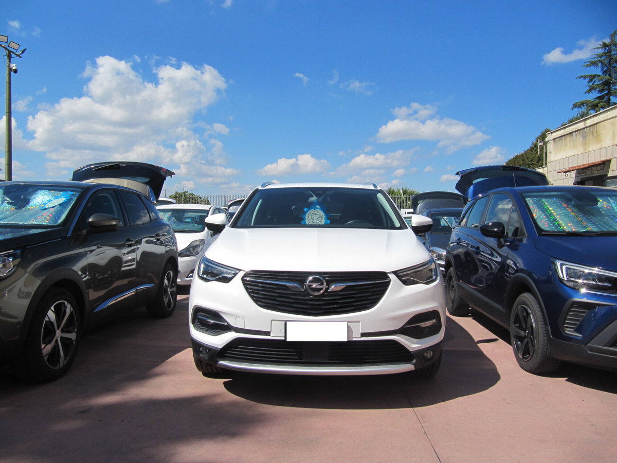 Opel Grandland X 1.6 diesel Ecotec Start&Stop Innovation (6)