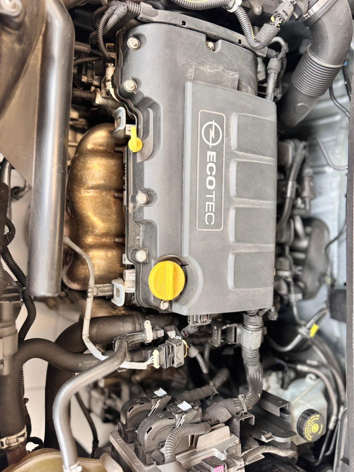 Opel Corsa 1.2 5 porte Edition (15)