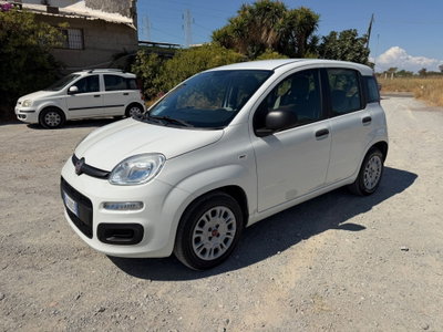 Fiat Panda 1.2 Easy usata