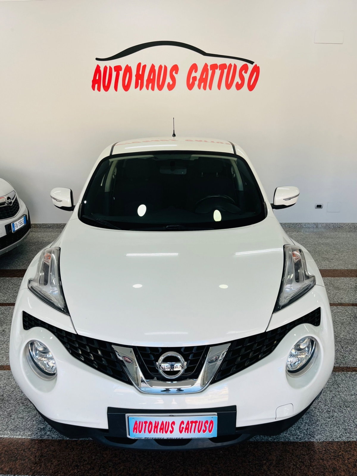 Nissan Juke 1.5 dCi Tekna (3)