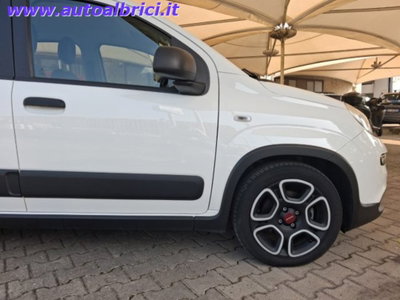 Fiat Panda 1.0 firefly hybrid s&s 70cv 5p.ti (11)