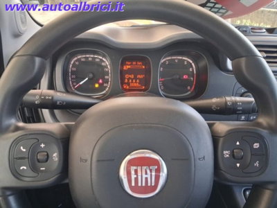 Fiat Panda 1.0 firefly hybrid s&s 70cv 5p.ti (18)