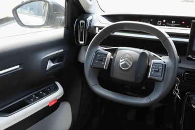 Citroen C3 1.2 puretech turbo Max 100cv s&s (12)
