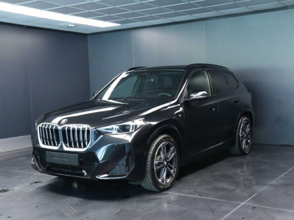 BMW X1 xDrive 20d Msport (2)