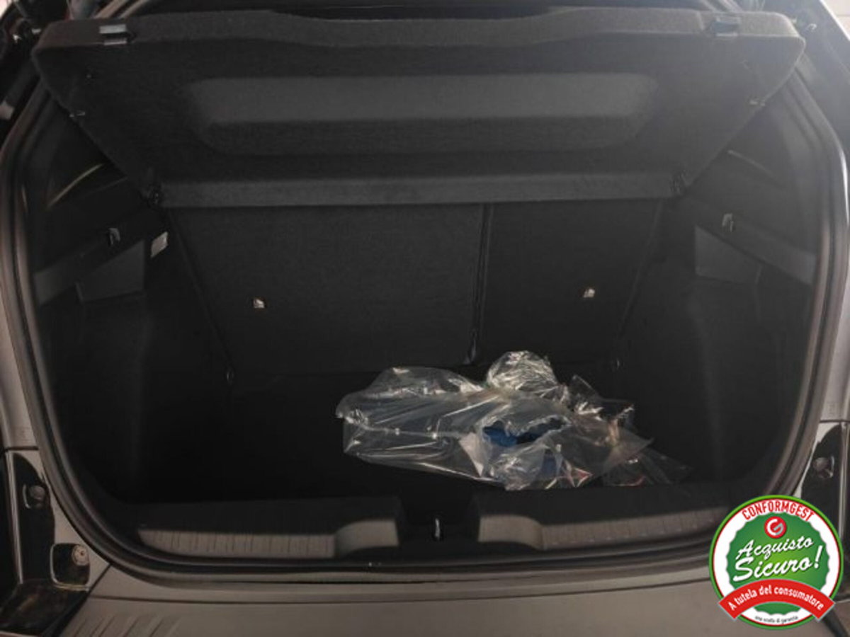 Fiat Grande Panda 1.2 Icon 100cv (16)